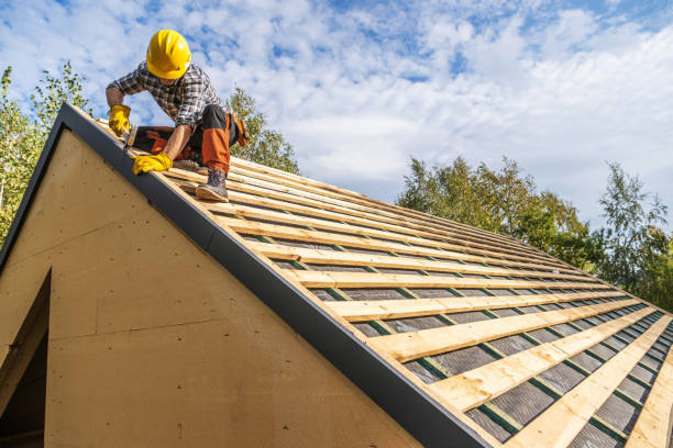 Best Roof Maintenance Services  in Highland, MD