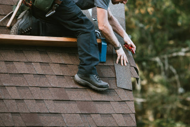 Best Roof Gutter Cleaning  in Highland, MD